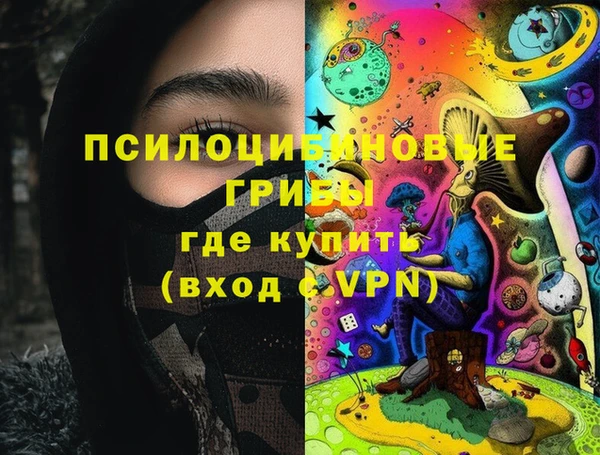 apvp Надым