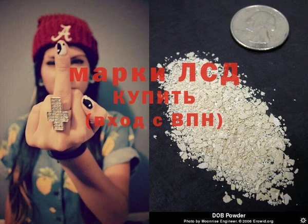 apvp Надым