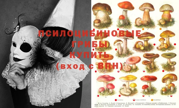 ECSTASY Наволоки