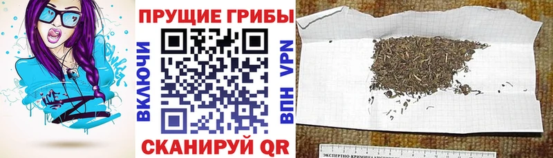 Галлюциногенные грибы прущие грибы  где продают   mega   Южа 